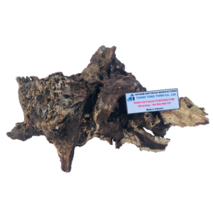 Décoration d'aquarium en bois flotté naturel Thanh Tung Thinh, forme irrégulière, écologique, ornement pour aquarium, fabriqué au Vietnam - Product Image 4