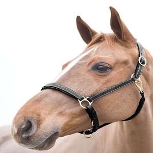 Harnais de cheval de haute qualité, durable, avec quincaillerie en laiton ou en acier inoxydable, style moderne, en cuir noir ou marron - Product Image 5