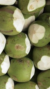 Coco tierno verde entero de alto estándar Bueno para la salud Descuento premium y sostenible UP 1000 gramos por pieza listo para la exportación - Product Image 3