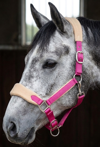 HM GLOBAL Harnais en corde PP réglable rembourré en polaire de qualité supérieure pour l'équitation occidentale, écologique, couleur et logo personnalisables - Product Image 2