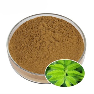 Polvo de raíz de mimosa de calidad cosmética premium, 100% puro y natural, polvo de mimosa molido fino al por mayor desde India. - Product Image 3