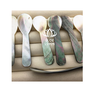 LISTO PARA ENVIAR Cuchara de Nácar Segura, Limpia y Ecológica 2026, Utensilio de Concha Pura Ideal para Servir Caviar y Degustación de Postres, Venta al por Mayor - Product Image 1