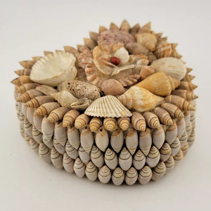 Natural Seashell Heart Shape Flower <b>Gift</b> Box Pack Sea Shells <b>Boxes</b> for Jewelries <b>Earings</b> Necklaces - Product Image 3