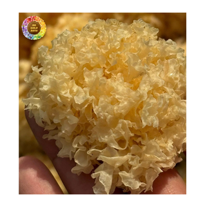 Meilleures ventes : Champignons blancs séchés 100 % naturels (Tremella Fuciformis), champignons de neige entiers crus, idéaux pour les soupes et les desserts - Product Image 1