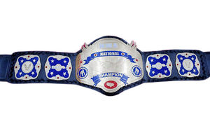 Trophée de ceinture personnalisé NOVERA INDUSTRIES pour la lutte, le Jiu-Jitsu, le karaté, le MMA, plaque dorée, design personnalisé, sangle réglable - Product Image 5