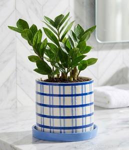 Juego de macetas de cerámica esmaltada con diseño de rejilla moderno, acabado duradero, elegantes soportes para plantas de interior - Product Image 4