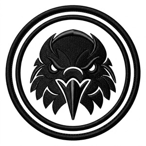 Parche Termoadhesivo Bordado a Máquina con Cabeza de Águila Negra Personalizada, Logotipo Táctico de Halcón, Emblema al por Mayor para Coser en Chaquetas y Gorras - Product Image 1