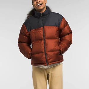 Veste d'hiver pour homme, style décontracté, coupe régulière, avec blocs de couleur, rembourrage en duvet, coupe-vent, col montant, fermeture éclair - Product Image 1