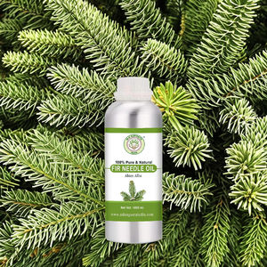 Abies Siberica Aguja de abeto Aceite esencial Puro al por mayor Aceite de aromaterapia a granel Aceite esencial perfumado de bosque natural - Product Image 2