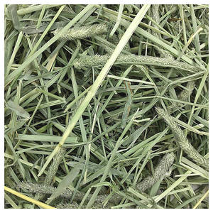 Heno de Timothy Fresco y Seco para Mascotas, Proveedor de Heno a Granel, Stock Disponible para Exportación - Product Image 2
