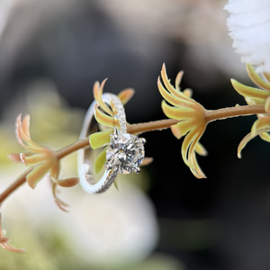 14K White Gold 2.50 Carat Round Brilliant IGI Certified Diamond Solitaire Engagement Ring Pave Band D Color and VVS2 Clarity - Product Image 2