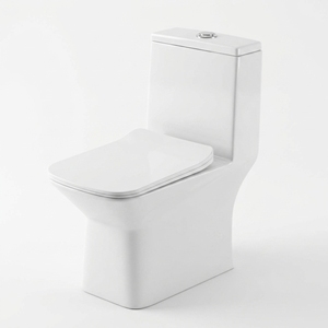 Inodoro de porcelana minimalista de una pieza con doble descarga, salida al suelo (P-trap/S-trap), 1.0-1.28 GPF, fácil limpieza, boquilla móvil - Product Image 1