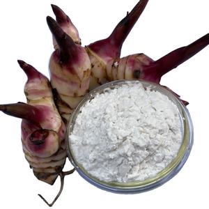 Almidón de arrowroot estándar, harina blanca en polvo, tipo nativo de Vietnam, almidón de raíz - Product Image 1