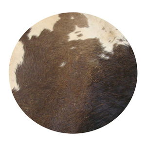 <b>Cow</b> Skins With Hair | <b>Cow</b> Hair Skins Size 16" to 26" For Drum /Djembes Bodhrans African Drums /Shaman Drums - Product Image 4