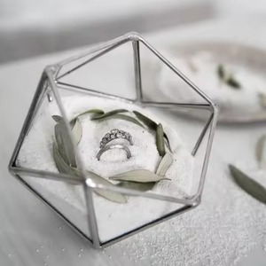 Terrarium en métal durable pour jardin intérieur, jardinière en verre, boîte de présentation élégante, accent de décoration pour la maison - Product Image 2