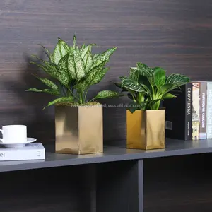 Premium Digital Square Vase for Wedding Hall Decoration Pots <b>Planters</b> Hangers Eco-Friendly <b>Gift</b> for Garden Care Made Zahid - Product Image 4