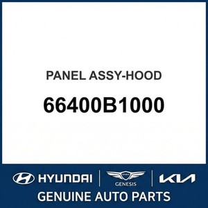 Paneles de Capó Nuevos G80 66400B1000 - Product Image 1