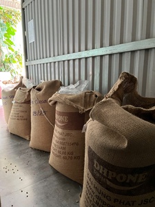 Café Vert 100% Robusta Vietnamien Dak Lak DHPONE Biologique Grade AA Couleur Naturelle Goût Neutre Sans Allergènes Prêt à Torréfier 60kg - Product Image 2