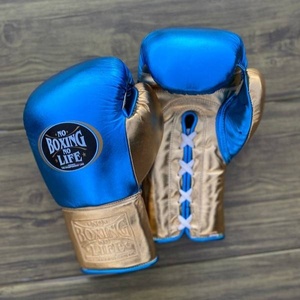 Prix de gros RTS, qualité supérieure, ensemble de boxe No Boxing No Life, cuir véritable, ensemble d'entraînement et de combat professionnel AS-SP-02 - Product Image 2