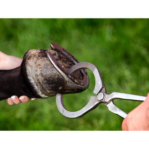 Probador de Cascos Veterinario de Acero Inoxidable de 19 Pulgadas, Reutilizable, Seguro, Confiable, Extra Grande, de Alta Calidad, el Más Vendido - Product Image 5