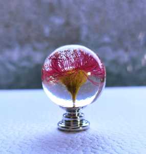 ลูกบิดตู้ไม้ยูคาลิปตัสทำมือรักษ์โลก พร้อมด้ามจับลิ้นชักเรซิ่นประดับดอกไม้จริง - Product Image 5