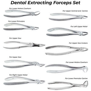 Stainless Steel 10 Pieces Dental Tooth Extracting Adult Forceps Lower Upper Molar Dental surgical <b>instruments</b> By Grip Surgical - Product Image 3
