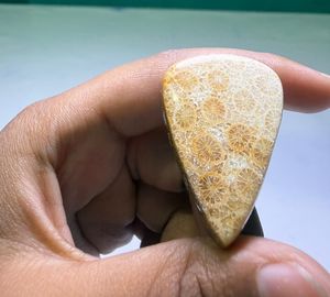 หินปะการังฟอสซิลธรรมชาติทรงคาโบชอง คริสตัลขัดเงา อัญมณีคุณภาพสูง รูปทรงผสมผสาน วัสดุสำหรับทำเครื่องประดับจำนวนมาก - Product Image 4