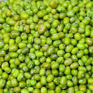 Mejor Opción: Frijoles Mung Verdes de Grado Premium, Orgánicos, Secos, Limpios a Máquina, 100% Puros, Exportador de Austria - Product Image 5