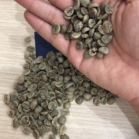 ROBUSTA ET ARABICA GRAINS DE CAFÉ VERT MEILLEUR PRIX DU VIET NAM Mme Emily + 84964660879