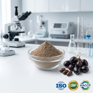 Jamun <b>Seed</b> Powder Premium Quality Food Grade Natural Bulk Manufacturer Exporter Wholesale Supplier India - Product Image 4