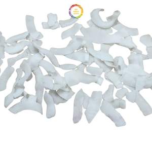 Coco Deshidratado de Vietnam en Trozos Finos y Medianos, Alto Contenido de Grasa 63%, Suministro a Granel para Fabricantes de Panadería, Helados y Chocolate, Exportación - Product Image 1