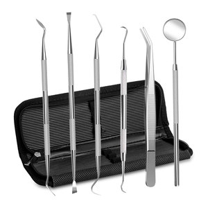 Kit d'outils d'hygiène dentaire en acier inoxydable : Cure-dents, pincettes, fil dentaire, gratte-dents professionnels pour plaque et tartre - Product Image 1