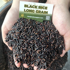 OFERTA ESPECIAL: Arroz Negro de Grano Largo de Nueva Cosecha, Venta al por Mayor, Vietnam, Calidad Premium, Sin GMO - Product Image 1