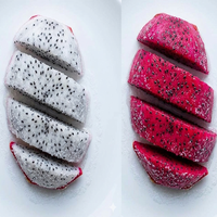 Premium Darlac Farms IQF Diepvries Dragon Fruit 20kg Gesneden/Gekruist 100% Origineel Dak Lak Vietnam - Vacuüm verpakt Bulk Export Privé