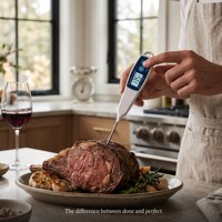 Termometer Daging Digital Stainless Steel & Plastik Pengontrol Suhu untuk Menggoreng Memanggang Penggunaan Dapur Bacaan Instan Probe Lipat