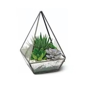 Designer Metal Terrarium Glass Plant Display Box Elegant Geometric Indoor Garden Home Decoration - Product Image 2
