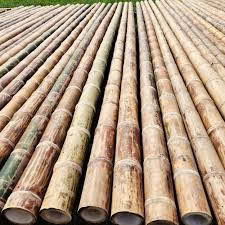 Varas y postes de bambú al por mayor para soporte industrial en Vietnam - Product Image 3