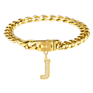 Colgante de letra inicial en oro para collar de perro, amuleto de lujo personalizado para mascotas, accesorio elegante - Product Image 2