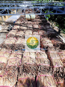 เชือกใยผักตบชวาจากโรงงานเวียดนาม ราคาถูก ขนาด 30-50 ซม. แบบม้วน วัตถุดิบสำหรับงานฝีมือ ผลิตภัณฑ์รักษ์โลก สำหรับจัดเก็บ - Product Image 4