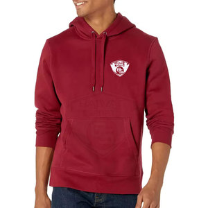 Hoodies pour hommes en coton 100% fabriqués au Pakistan, service OEM, vente en gros, prix bas, best-sellers - Product Image 6