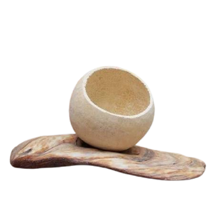 ADVAITH Bell Cup Natural Dried on Sticks Eco-Friendly Christmas Home Decor with Different Sizes and Colors From West Bengal - Product Image 1