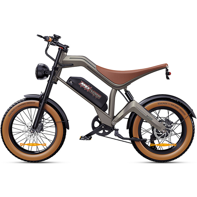 750W Electric Fat Tire Bike 48V 15.6Ah 20 Inch Mountain Ebike Off Road Bicycle With Front Rear Disc Brake System