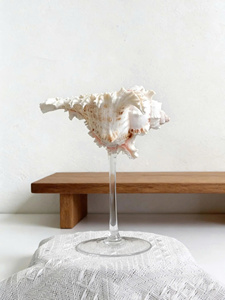 Copas de Vino Hechas a Mano con Conchas Marinas, Regalo de Boda o Aniversario para Damas de Honor, Grabado Personalizado, Reutilizables, Ligeras, Diseño Costero - Product Image 5