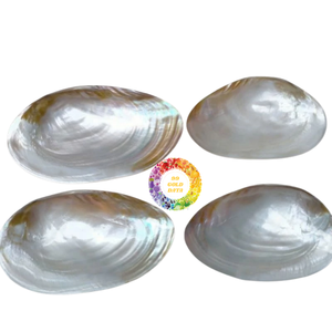 Assiettes de dîner luxueuses et écologiques en nacre polie, vente chaude, qualité supérieure, assiette en forme de coquille de caviar - Product Image 3
