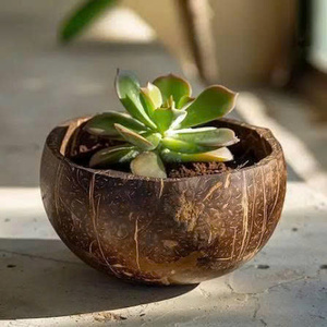 Tazón de Coco Hecho a Mano 100% Natural, Ecológico y Orgánico, Regalo, Apto para Alimentos, para Ensaladas de Frutas, Acai y Utensilios para Comer, Hecho en Vietnam - Product Image 4