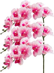 THAF-014 Tallos de Phalaenopsis de Primera Calidad con Tacto Real, Flores de Orquídea de Látex de Alta Calidad para Arreglos Florales Interiores Elegantes - Product Image 6
