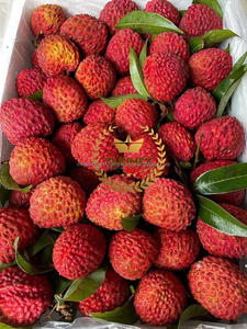 Lichee enlatado lichi de fruta tropical enlatado al mejor precio lichi enlatado de muy alta calidad en jarabe hecho - Product Image 5