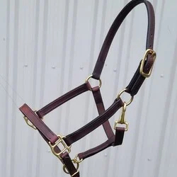 High Quality Customized Hand Made Durable Hybrid Adjustable Brown Leather Horse <b>Halter</b> at Wholesale Manufacture - Product Image 1