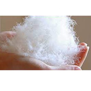 Lông Vũ Nguyên Chất Cho Nhà Máy Bán Sỉ - Product Image 1