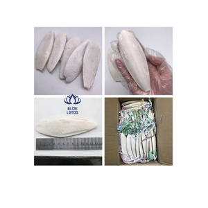 BEST SELLING BLUE LOTUS Os de Seiche Durable de Haute Qualité, Pur, Riche en Calcium, Complément Alimentaire Minéral pour Oiseaux, Exportation en Vrac - Product Image 3